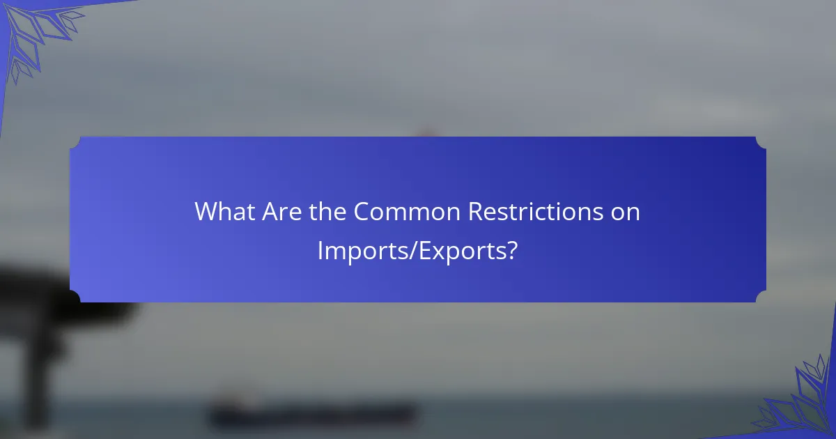 What Are the Common Restrictions on Imports/Exports?