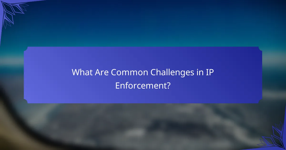 What Are Common Challenges in IP Enforcement?