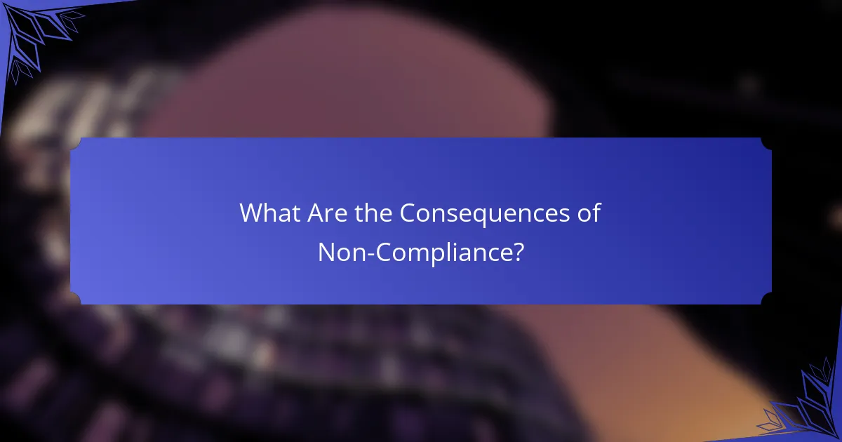 What Are the Consequences of Non-Compliance?