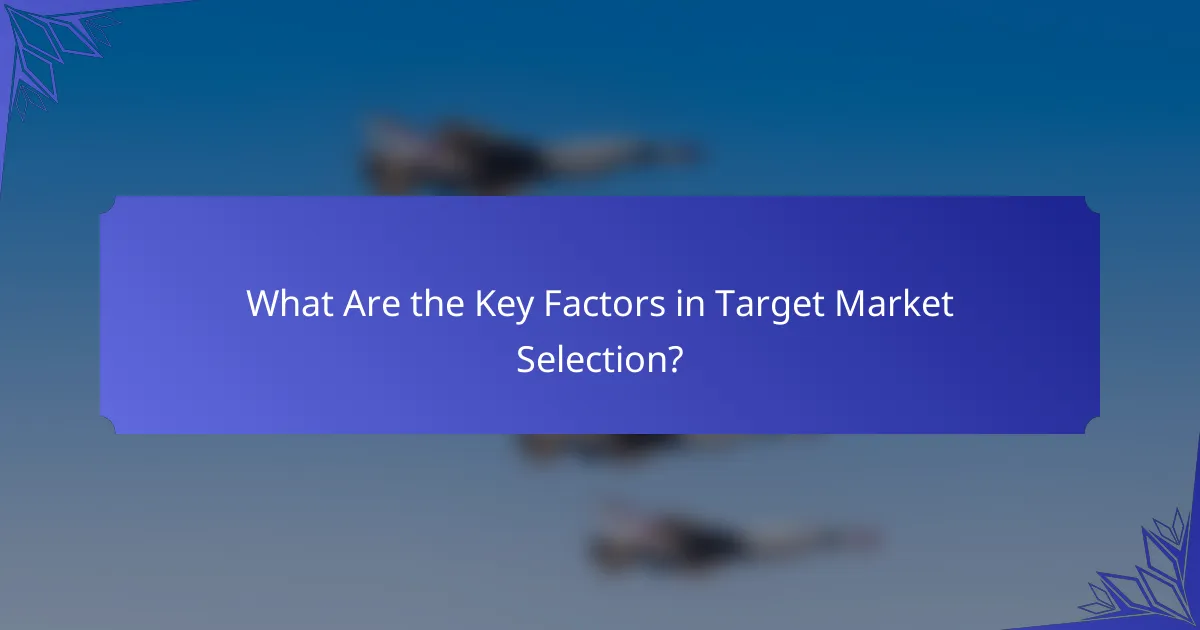What Are the Key Factors in Target Market Selection?