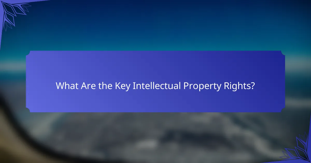 What Are the Key Intellectual Property Rights?