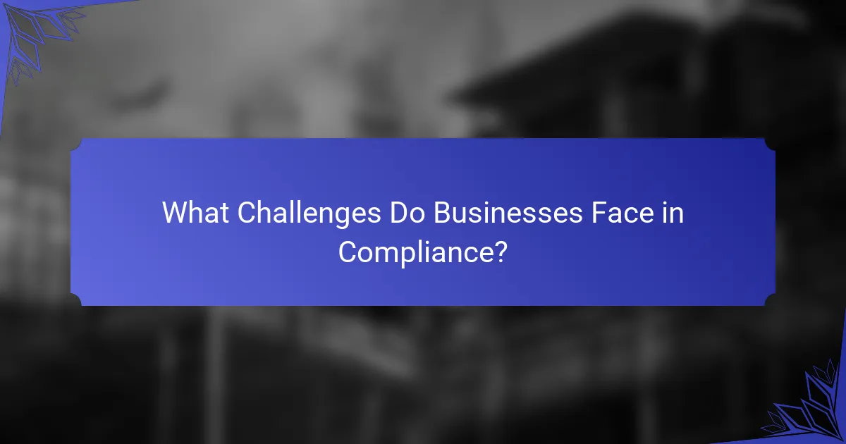 What Challenges Do Businesses Face in Compliance?