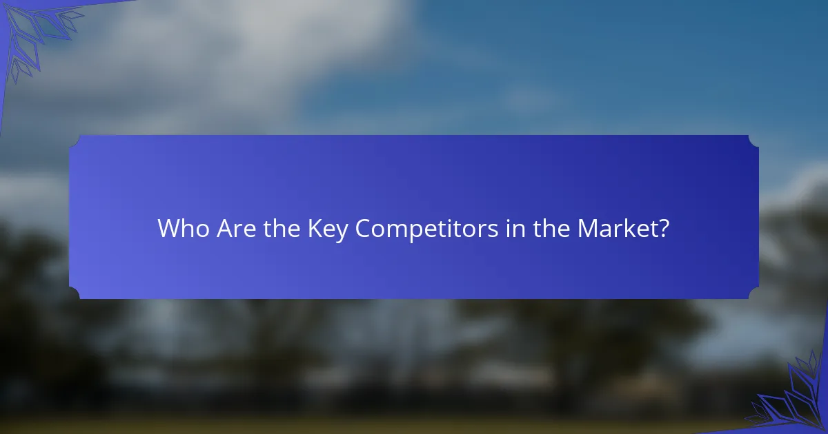 Who Are the Key Competitors in the Market?